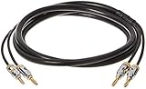 Amazon Basics 16AWG Lautsprecherkabel mit vergoldeten Bananenspitzen (4 mm) –...