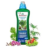Blusana Hydroponik & Hydrokultur Dünger XL Flasche 1l NPK 7-3-6 Flüssigdünger...