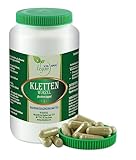 VITA IDEAL Vegan® Kletten Wurzel 180 Kapseln - Arctium lappa - Tagesportion...