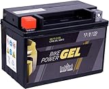 intAct - GEL MOTORRADBATTERIE | Batterie mit +30% Startleistung. Für Roller,...