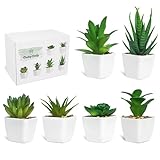Ouddy Daily 6 Stück Kunstpflanzen außenbereich Künstliche Pflanzen...