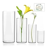 UCAMP Hohe Glasvasen für Tischdeko, Zylinder Vase in 4 Größen, Gläser für...