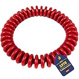 BEST SPORTING Tauchringe für Kinder 14 cm I Kinder Tauchringe, ideal für...