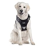 Funfox Hundegeschirr Mittelgroße Hunde, Anti Zug Brustgeschirr Verstellbares...