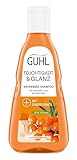 Guhl Feuchtigkeitsaufbau Shampoo - Inhalt: 250 ml - Verleiht trockenem Haar...
