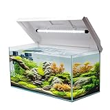 VIALIA Aquarium rechteckig mit Juwel LED Abdeckung weiß 60x30x30 cm, 54 Liter,...