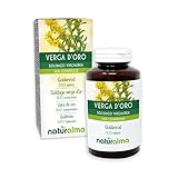 Goldrute (Solidago virgaurea) Kraut mit Blüten Naturalma - 150 g - 300...