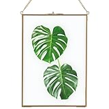 Homtone 21x30 cm Glasrahmen für Wand, Schwebender Displayrahmen, Hängender...