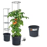 rgvertrieb Blumentopf Tomatentopf Topf für Tomatenpflanzen Tomatenzüchter...