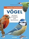 Anaconda Taschenführer Vögel. 70 Arten bestimmen und entdecken: Der handliche...