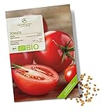 BIO Tomatensamen (Matina, 10 Korn) - Tomaten Saatgut aus biologischem Anbau...