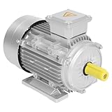 Elektromotor 230/400V 3KW 1435 RPM Drehstrommotor Energiesparmotor S1 B3...
