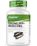 Grünlippmuschel - 365 Kapseln mit je 600 mg - Premium: Mit Glycosaminoglykane -...