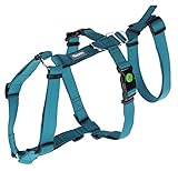 Kerbl Panikgeschirr Miami (Farbe Petrol, Halsumfang 38 - 52 cm, Brustumfang 55...
