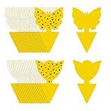 KEWUZY 60 x Gelbsticker Trauermücken, Fliegenfalle, Gelbtafeln...