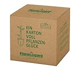 Floragard Bio Hochbeet-Erde in der Box 60 Liter, braun, 122537
