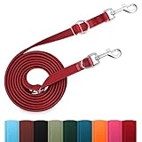 PETCOOZ Hundeleine 3 m Verstellbare Schleppleine mit 2 Karabiner, Verdickte...