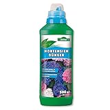 Allflor Hortensiendünger I Rhododendron Dünger I Blumendünger flüssig I 500...