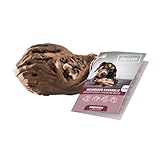 Chewies Kauwurzel für Hunde aus Weinreben - Kau-Spielzeug natürlich,...