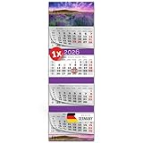 PRIMUS PRINT XXL Kalender 2026 - Mehrblock Wandkalender - 4-Monatskalender - mit...