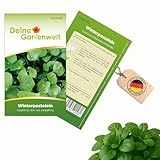 Winterpostelein Winterportulak Samen - Claytonia perfoliata - Portulaksamen -...