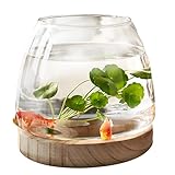 Glas Fischglas mit Holzsockel, Kugelaquarium Fischbecken Kleine für Kampffische...