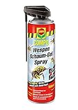 Compo Wespen Schaum-Gel-Spray inkl. Sprührohr, Sofort- und Langzeitwirkung, (4...