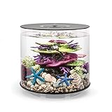 biOrb 72062 TUBE 15 LED schwarz - 15 Liter 360-Grad Deko-Aquarium | Komplett-Set...