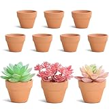 Lucywey 10 Stücke Kleine Terrakotta Töpfe 5cm Mini Terrakotta Tontöpfe,...