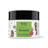 Arlberger Murmelin Sport und Gelenksalbe I Original Murmeltiersalbe I MADE IN...