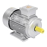 230/400V 4KW Elektromotor Drehstrommotor aus Metall, 2895 U/min 3-phasig Motor...