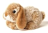 Uni-Toys - Widderkaninchen, liegend (beige) - 18 cm (Länge) - Plüsch-Hase,...