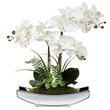 Kunstblumen Orchideen Künstliche Phalaenopsis Bonsai Kunstblumen wie Echt im...