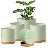 Homeuouz 5 Packs Blumentopf mit Untersetzer, 17.8/15.2/14/12.7/10.2cm...