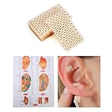 600 Stück Ohr Samen Akupunktur,Ohr Presse Samen...