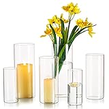 Hewory Vasen Set Glasvase Zylinder: 6er Glasvasen für Tischdeko Hochzeit, Groß...