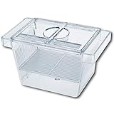 Wave Amtra Laichraum - 3 in 1 Aquarienfischzuchtbecken mit Deckel, schwimmend,...