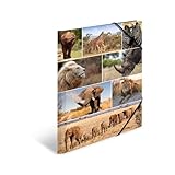 HERMA Sammelmappe A3 Löwe, Kinder Eckspanner-Mappe aus Pappe mit Afrika Tier...