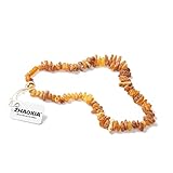 Bernsteinhalsband für Hunde und Katzen - 100% natürliche baltische...