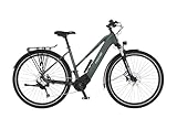Fischer E-Bike ATB Terra 6.8i Ultimate Elektrofahrrad für Damen und Herren, RH...