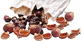 1kg Waschnüsse mit Waschsäckchen Waschnuss Sapindus Mukorossi...