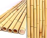 12er Set Bambusrohr 300cm mit 2,8-3,5cm Durchmesser gelblich gebleicht 3m lang...