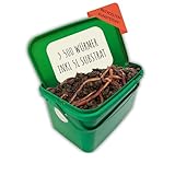 500 Kompostwürmer kaufen in 5L Kompoststarter Substrat - Eisenia Würmer...