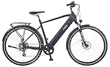 Prophete Entdecker 2.0 Trekking E-Bike 28 Zoll - 360 Wh - Integrierter Akku -...