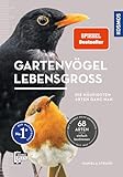 Gartenvögel lebensgroß: Die leben in deinem Garten. Alle 68 Vögel in...