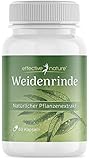 Weidenrinde-Kapseln - 60 Kapseln für 2 Monate - 200 mg Weidenrindenextrakt -...