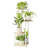 Bamworld Pflanzenständer Blumenständer indoor 4 Etagen Pflanzenregal...
