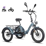 Fafrees E Bike 3 Rad, E Bike Dreirad für Erwachsene 48V 21Ah Akku, F20 Mate...