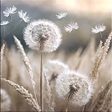 artissimo, Glasbild, 30x30cm, AG5508A, Natur: Blumen und Gräser III, Bild aus...