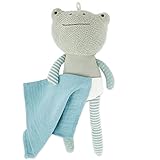 Bieco Frosch Kuscheltier mit Schmusetuch | 30 cm | Frosch Plüschtier | Baby...